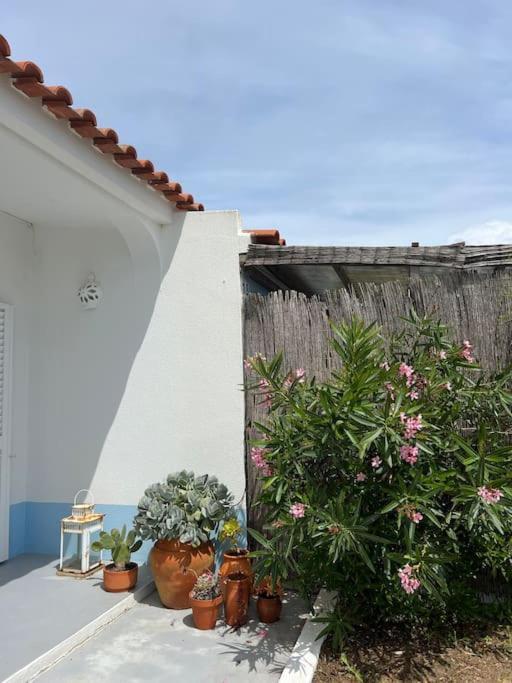 Casa De Maio - New T2 - Arrifana 650 Mts Hébergement de vacances Aljezur